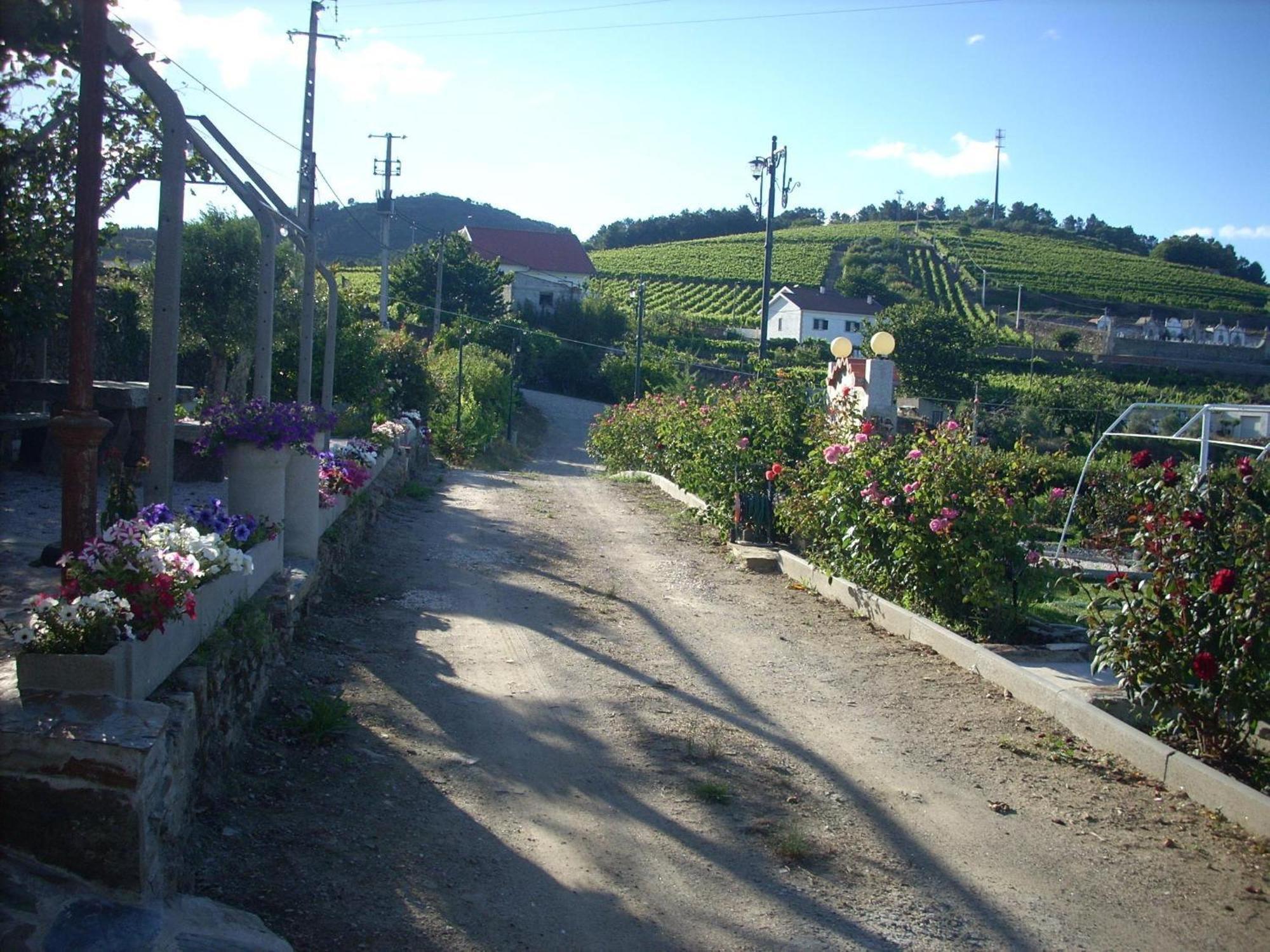 Casa Da Jesus Villa Provesende Екстериор снимка